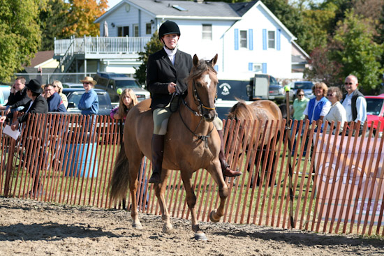 Erin Fall Fair 2008, Gaited Horse Classes, in Erin, Ontario