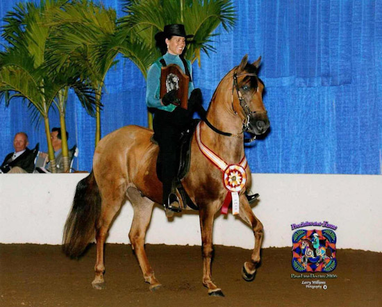 Defensor QC, Reserve National Champion ridden by Catharine