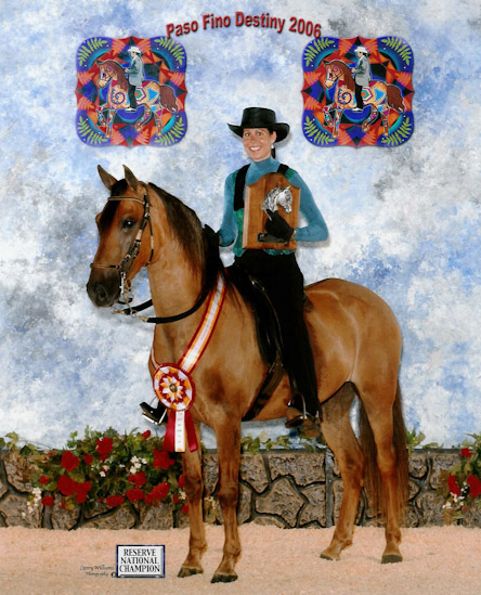 Defensor QC, Reserve National Champion Pleasure Amateur Owner Geldings For Gold, ridden by Catharine